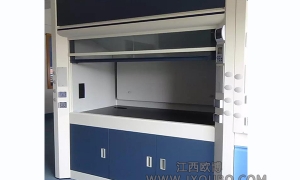 通風柜廠家直供